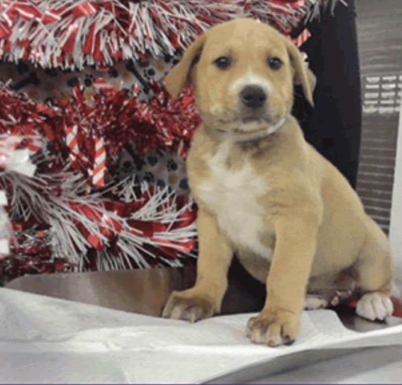 Adam nka Ace - Photo 3