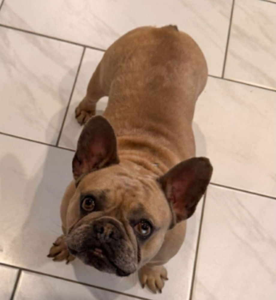 Nana Banana - Photo 4