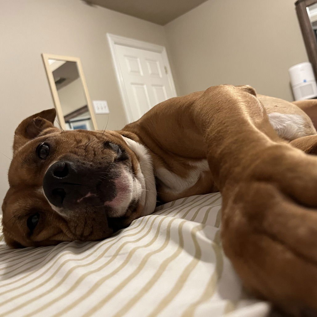 Finnan (New Digs) - Photo 3