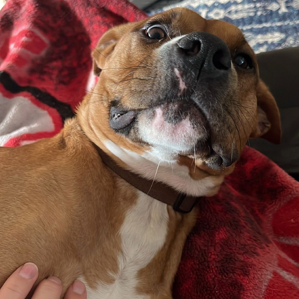 Finnan (New Digs) - Photo 4