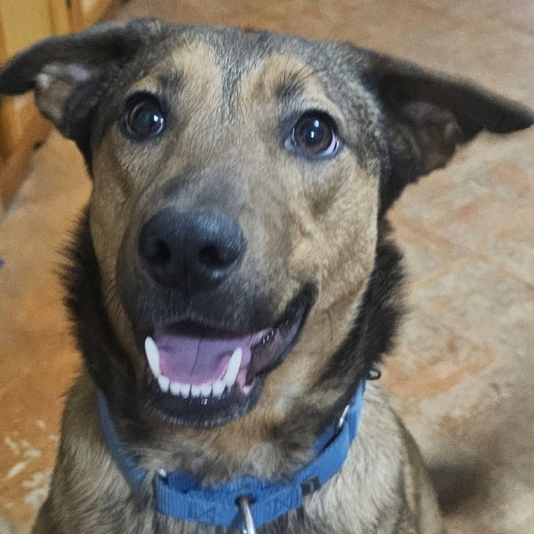 Buster Image