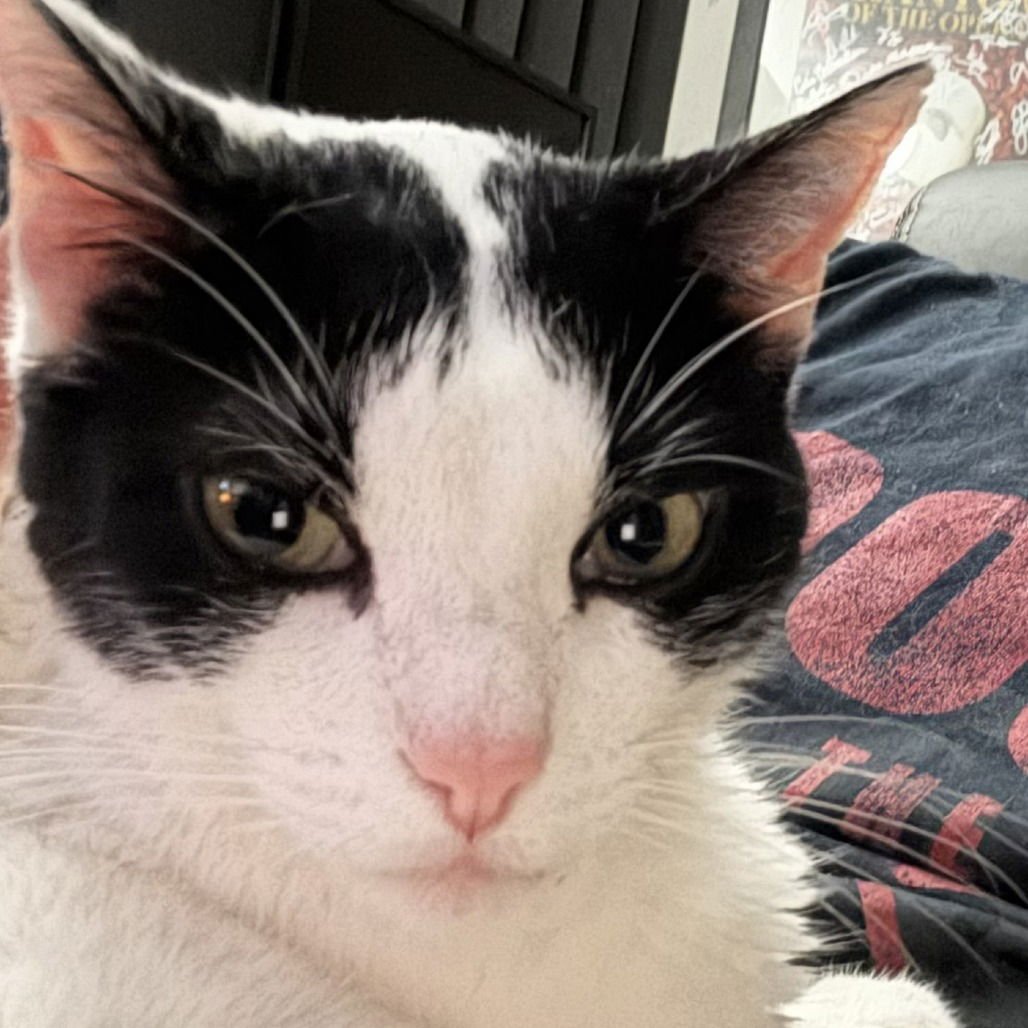 Max XVIII (New Digs) - Photo 3