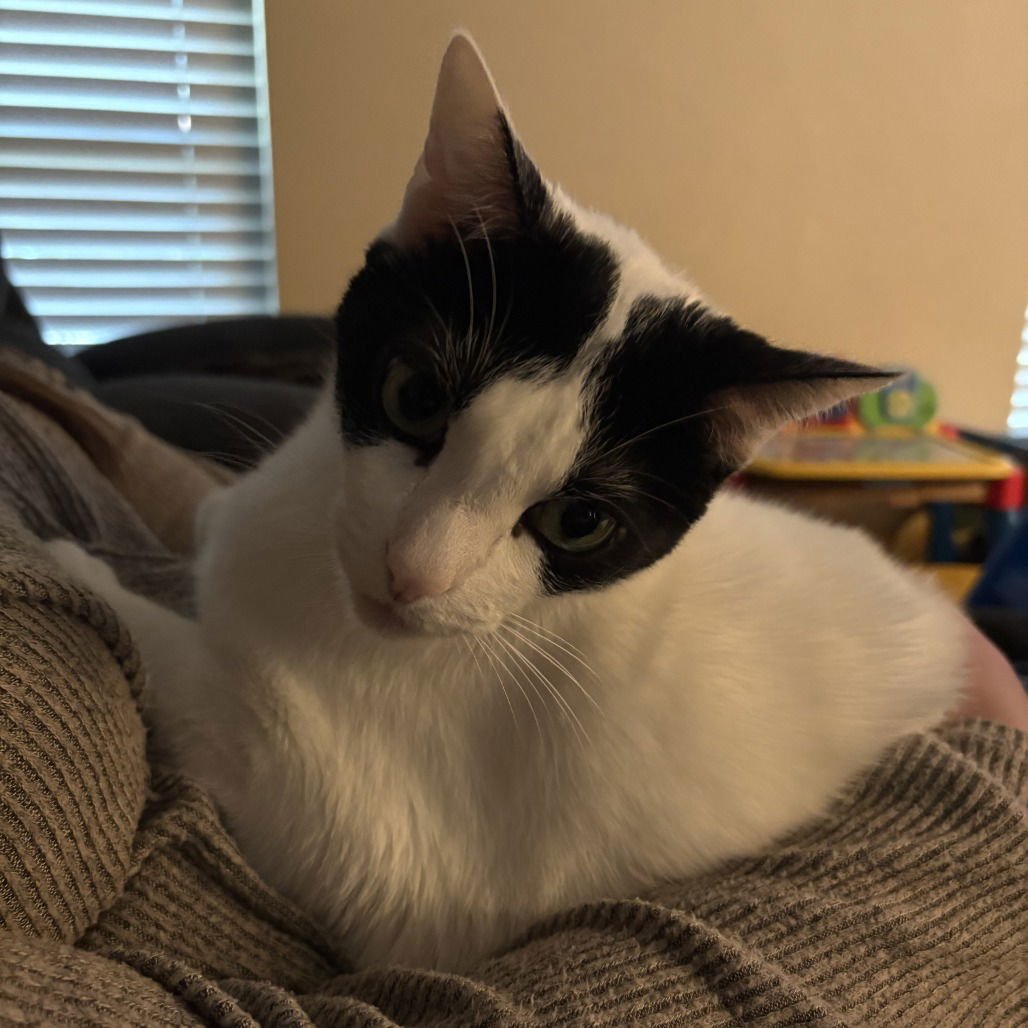 Max XVIII (New Digs) - Photo 4