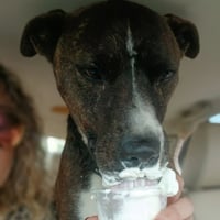 Jack Barkley - Photo 3