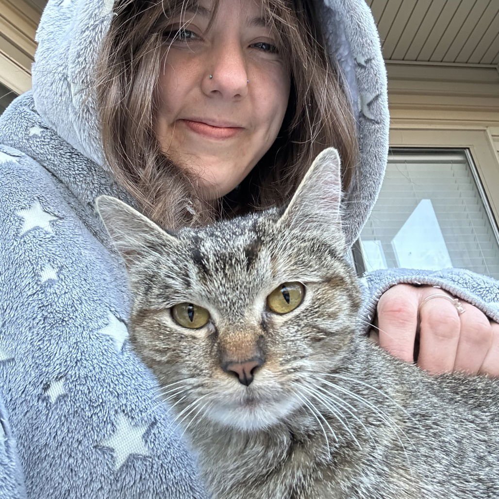 RUBY - Domestic Medium Hair for adoption in McKinney