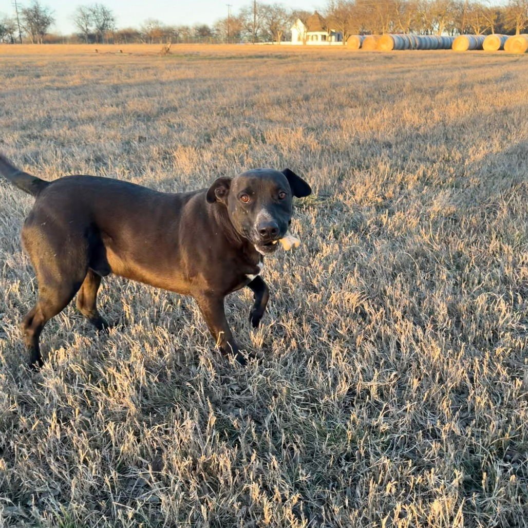 Tux III (New Digs) - Photo 3