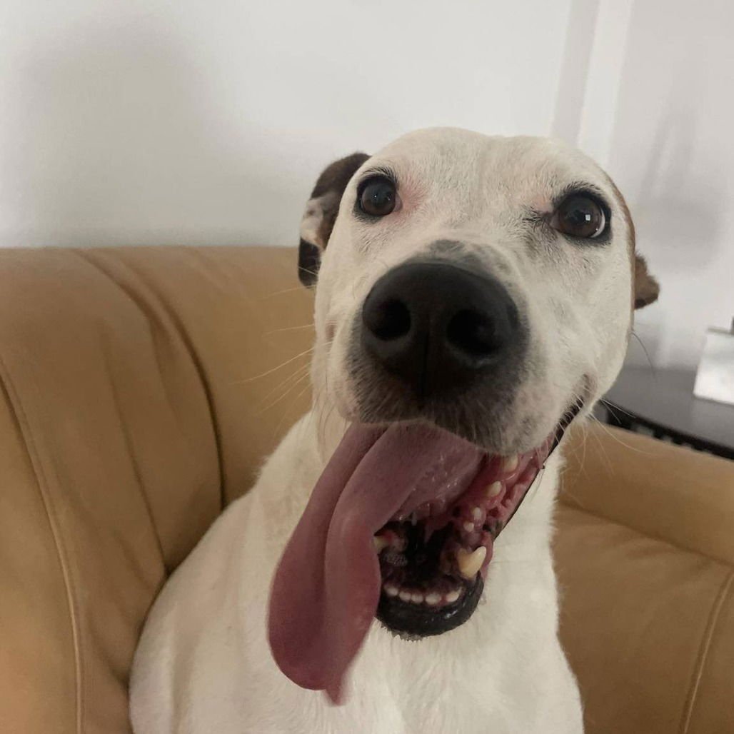 Angel III (New Digs) - Photo 4