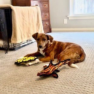 Katy Perry - Photo 3