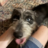 Darla - Photo 2