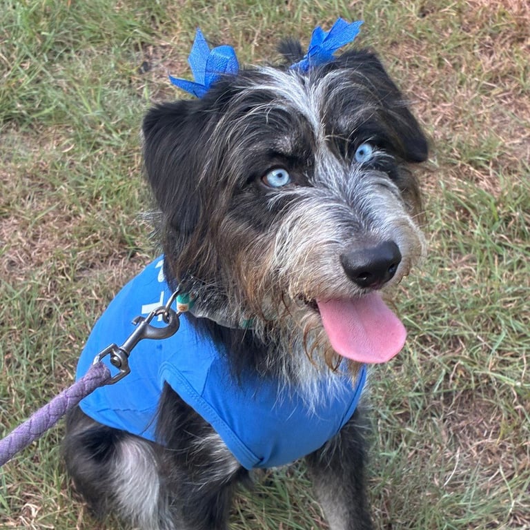 Darla Image