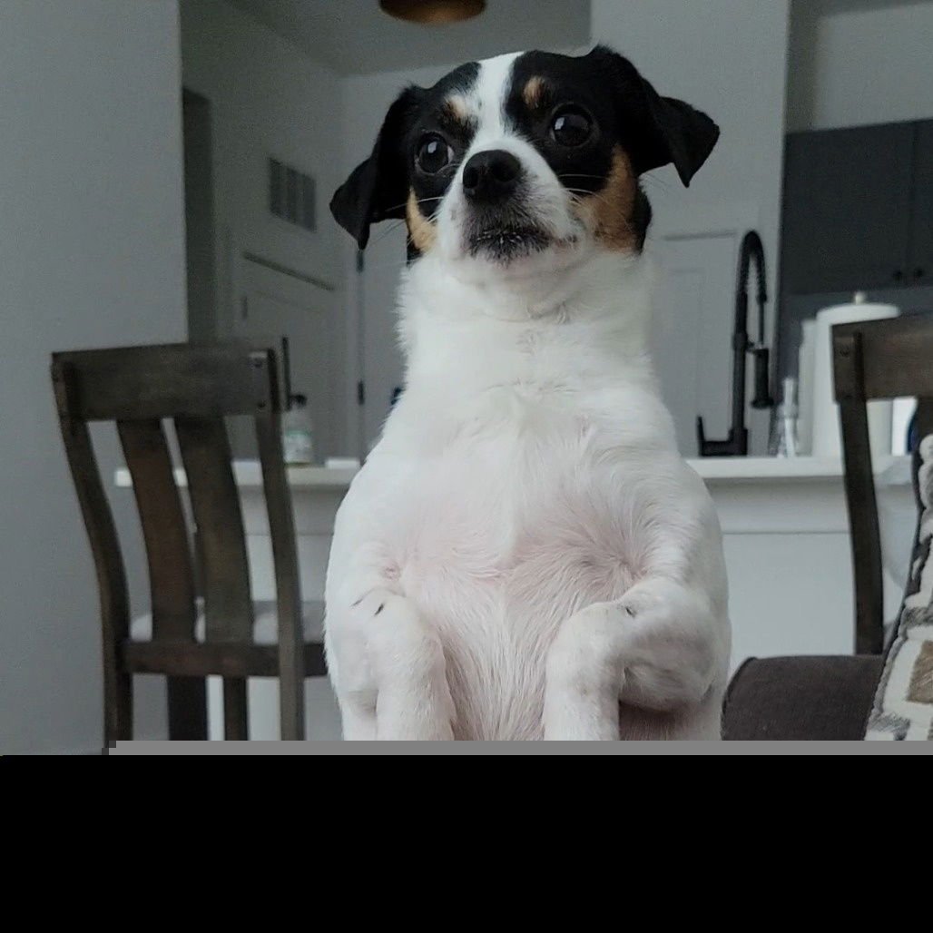 Duncan II (New Digs) - Photo 3