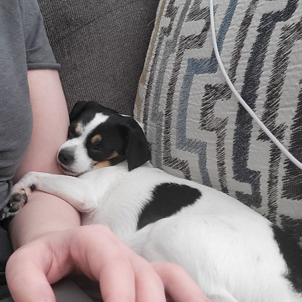 Duncan II (New Digs) - Photo 4