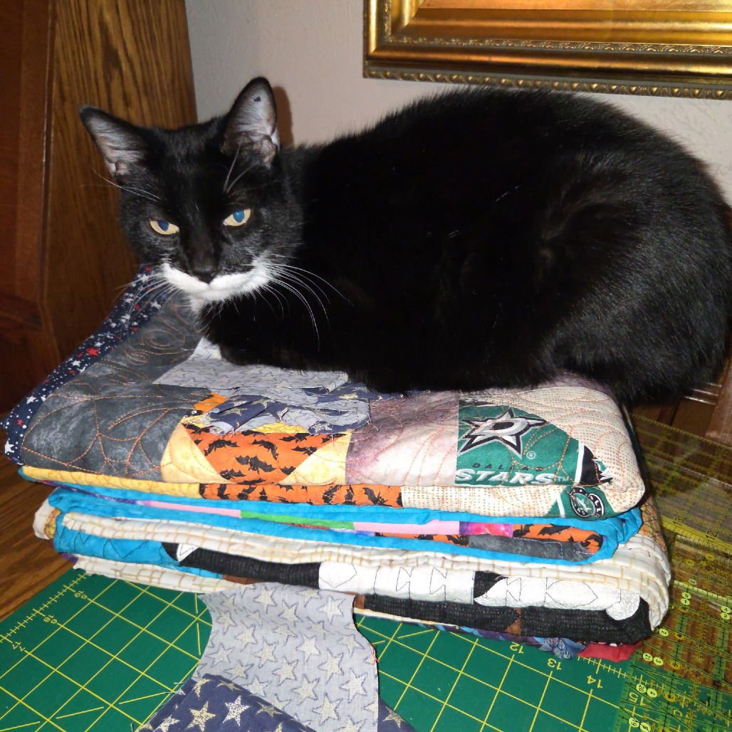 Anabelle (New Digs) - Photo 3