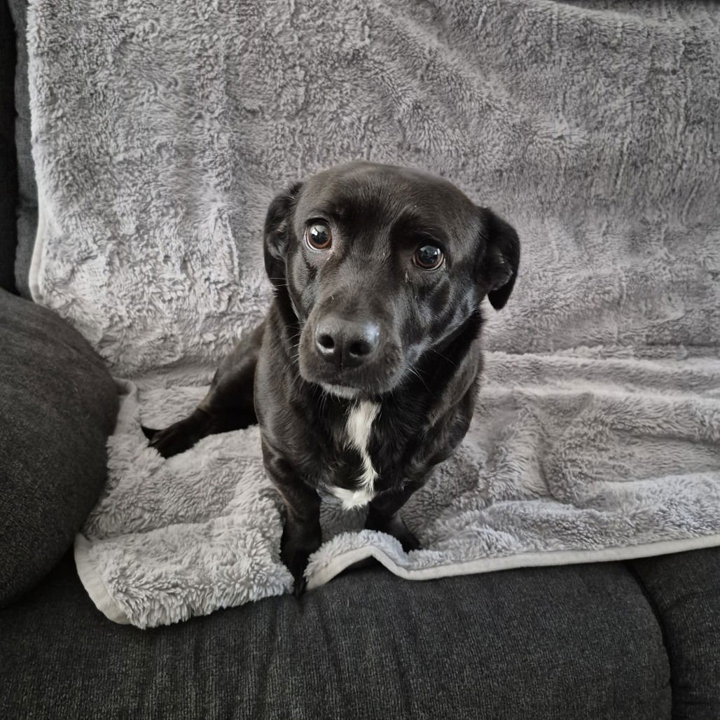 Luke (New Digs) - Photo 4