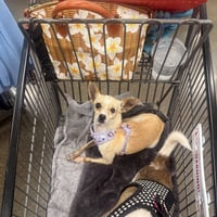Eva A1296861 - Photo 1