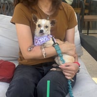 Eva A1296861 - Photo 3