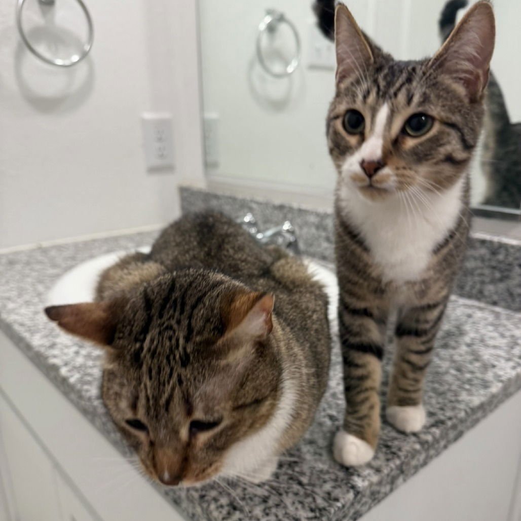 Marshall (New Digs) - Photo 4