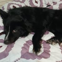 Maggie Moo - Photo 2