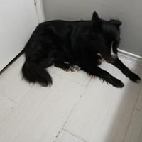 Maggie Moo - Photo 3