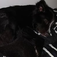 Maggie Moo - Photo 4