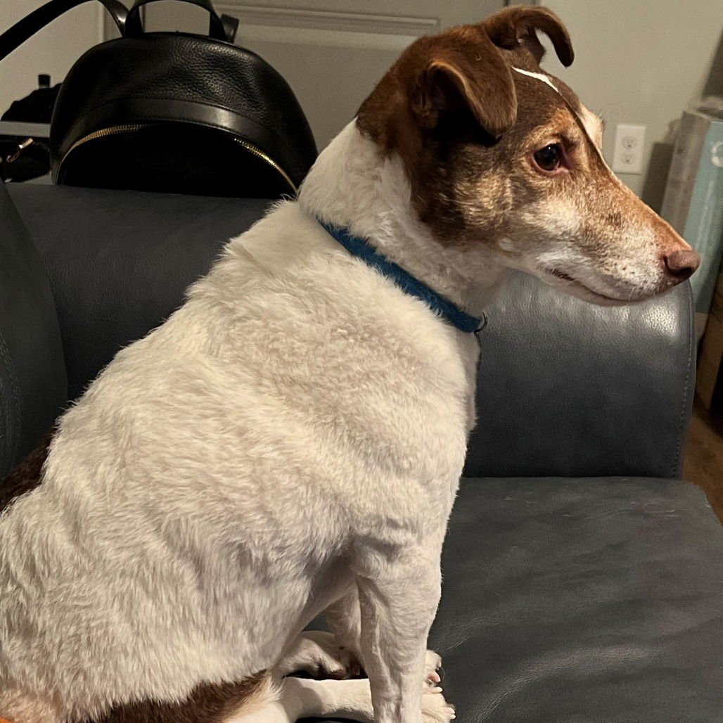 Ryzo (New Digs) - Photo 3