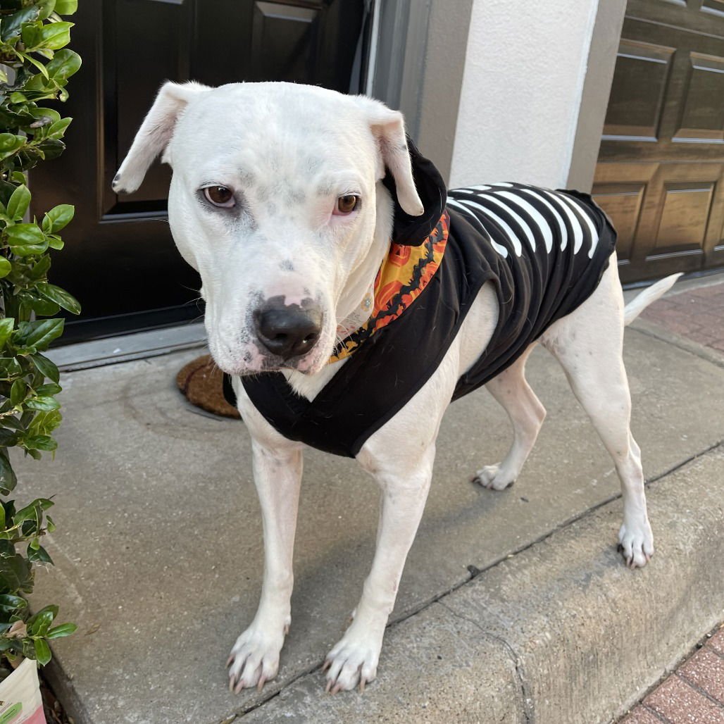 Snow (New Digs) - Photo 4