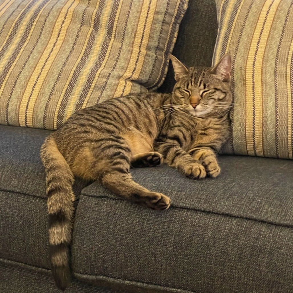 Bean (New Digs) - Photo 4