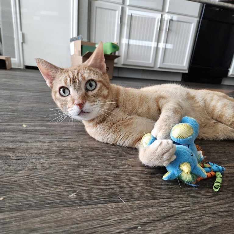 Cuddlebug Image