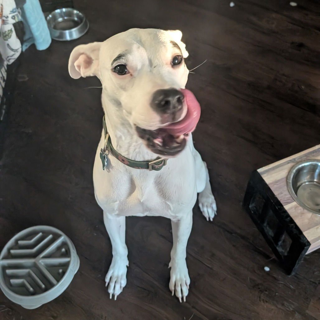 Juana (New Digs) - Photo 3