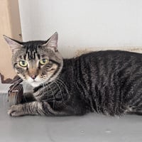 Bob - Photo 2