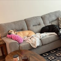 Kylo III (New Digs) - Photo 4