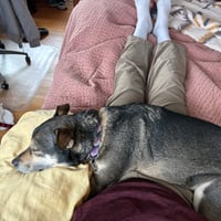 Ramona Quimby (New Digs) - Photo 3