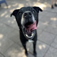 Melvin - Photo 3