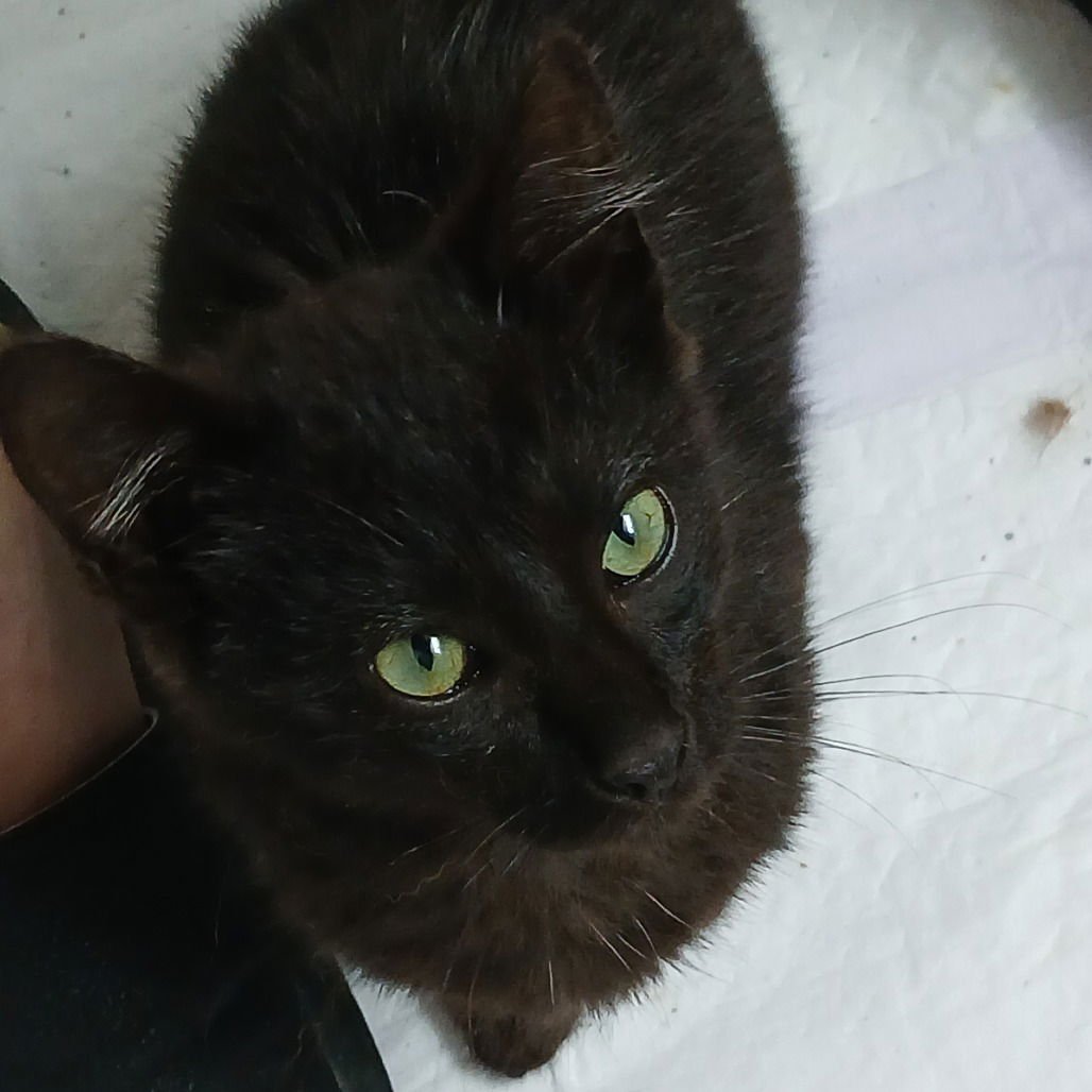 Catrick Swazye - Photo 3