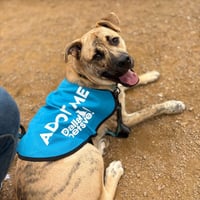 Wally - Photo 3
