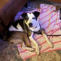 Maggie - Photo 4