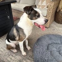 Maggie - Photo 2