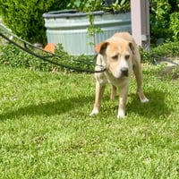 Nelson - Photo 4