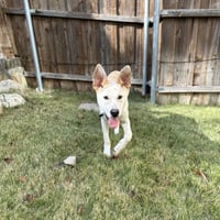 Scout Cooper - Photo 3