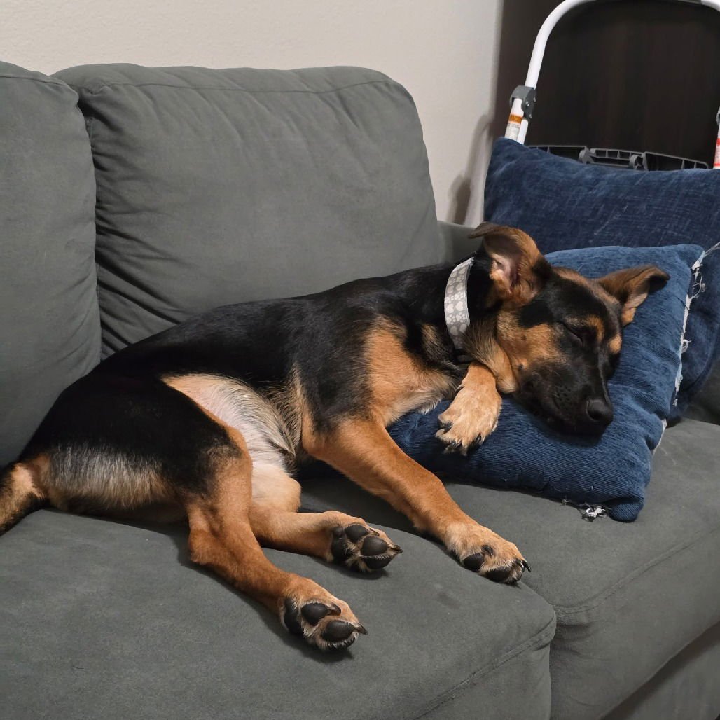 Riley III (New Digs) - Photo 3