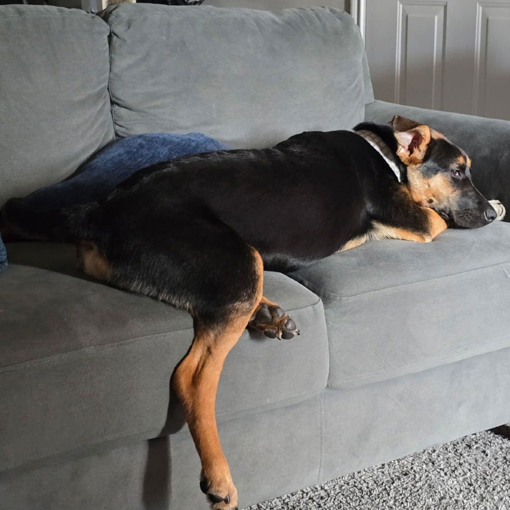 Riley III (New Digs) - Photo 4