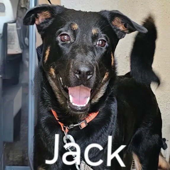 Jackson Image