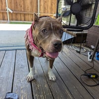 Freyja - Photo 1