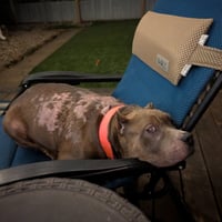Freyja - Photo 2
