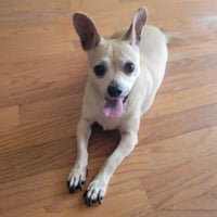 Leroy - Photo 4