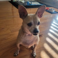 Leroy - Photo 3