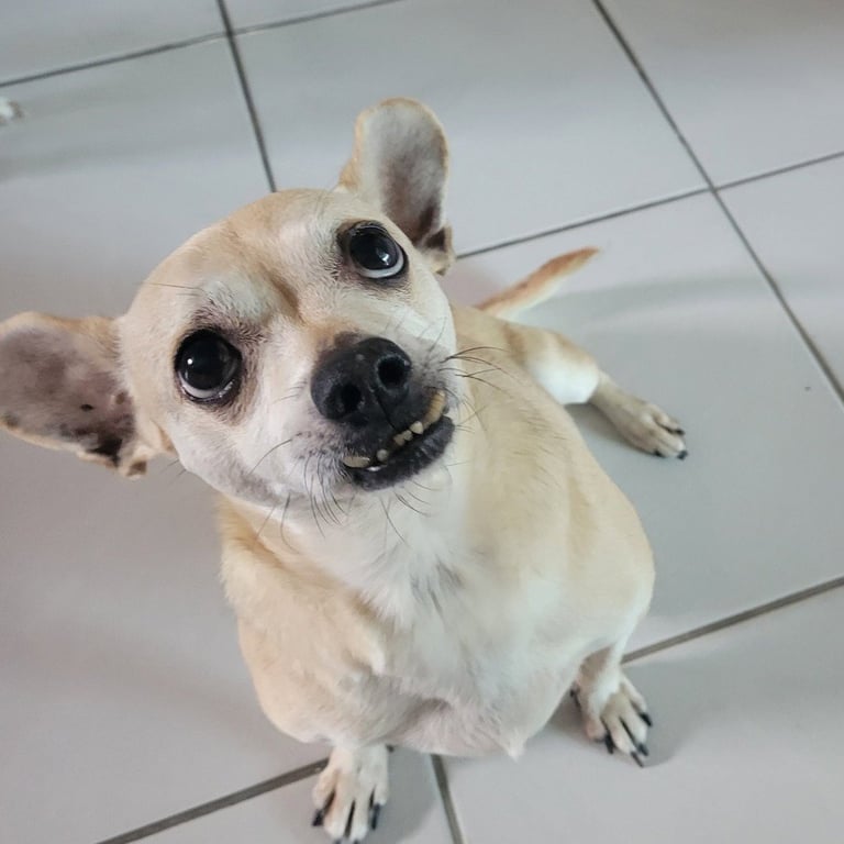 Leroy Image
