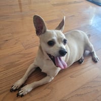 Leroy - Photo 2