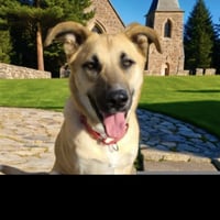 Tony - Photo 3