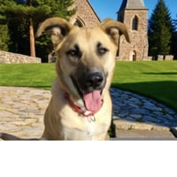 Tony - Photo 4